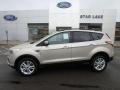 White Gold - Escape SE 4WD Photo No. 1