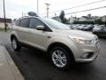 White Gold - Escape SE 4WD Photo No. 3