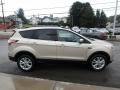 White Gold - Escape SE 4WD Photo No. 4