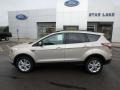 White Gold - Escape SE 4WD Photo No. 9