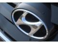 Black Forest Green Metallic - Santa Fe GLS Photo No. 4
