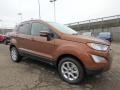 Canyon Ridge - EcoSport SE 4WD Photo No. 9