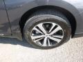 Magnetite Gray Metallic - Outback 2.5i Limited Photo No. 2
