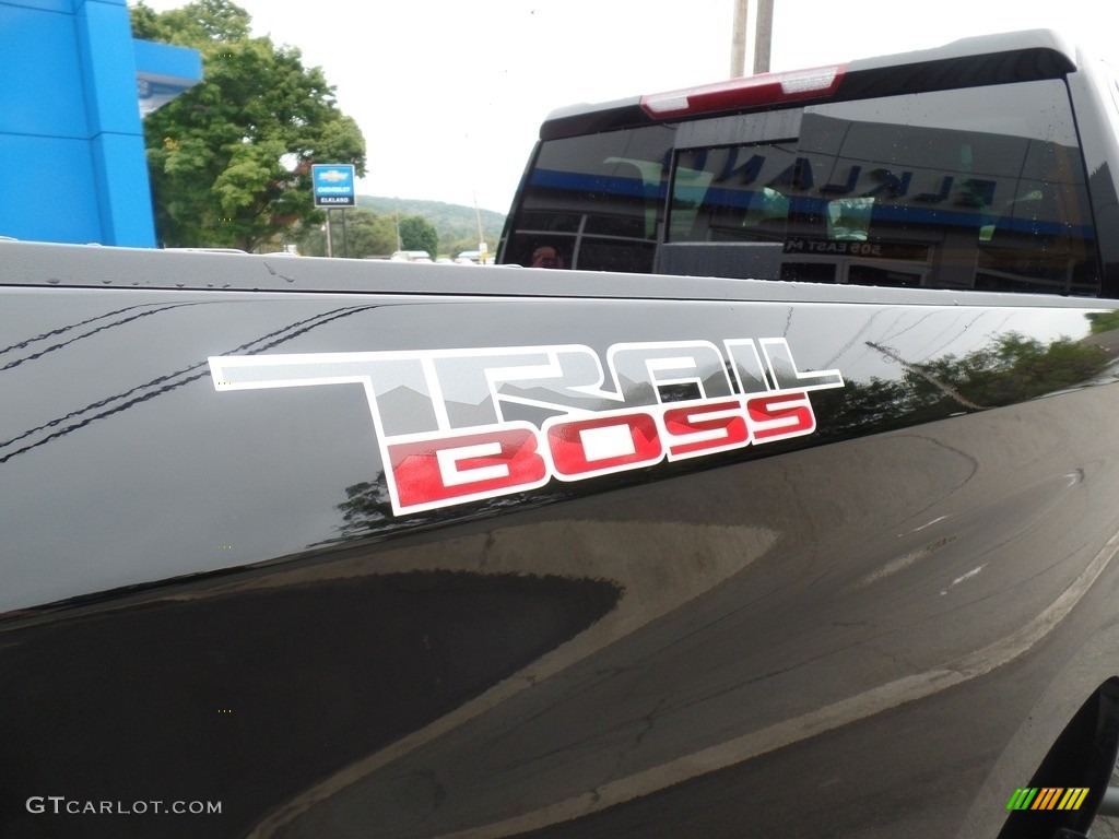 2019 Chevrolet Silverado 1500 LT Z71 Trail Boss Crew Cab 4WD Marks and Logos Photo #129507983