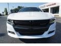 White Knuckle - Charger SXT Photo No. 2