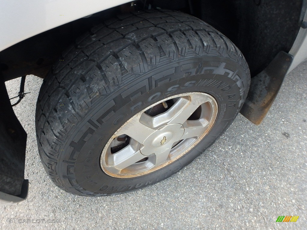 2005 TrailBlazer LS 4x4 - Silverstone Metallic / Light Gray photo #7