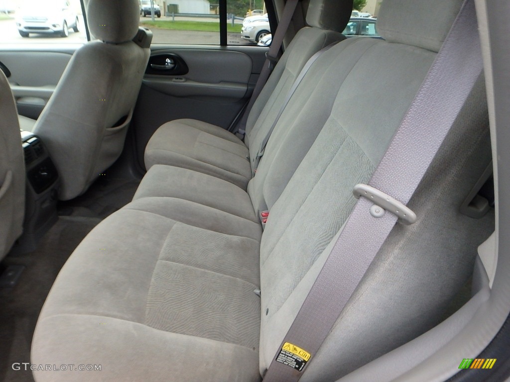 2005 TrailBlazer LS 4x4 - Silverstone Metallic / Light Gray photo #9
