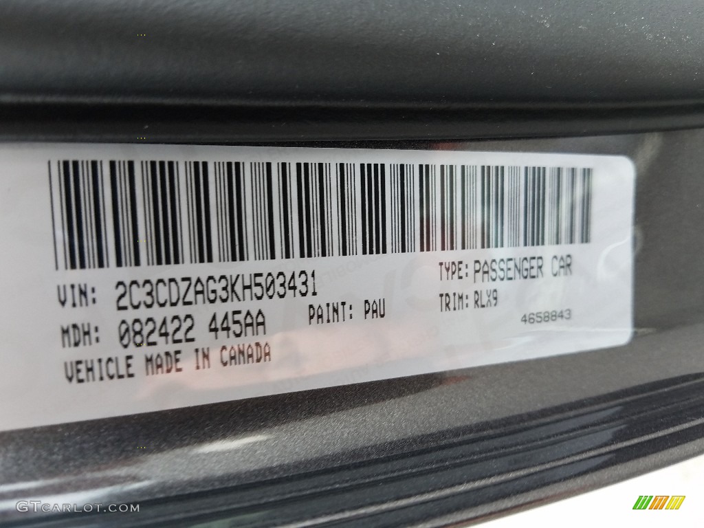 2019 Challenger Color Code PAU for Granite Pearl Photo #129517130