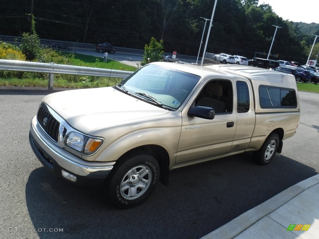 2004 Tacoma SR5 Xtracab - Mystic Gold Metallic / Oak photo #6
