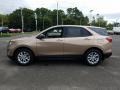 2019 Sandy Ridge Metallic Chevrolet Equinox LS  photo #3