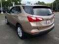 2019 Sandy Ridge Metallic Chevrolet Equinox LS  photo #4