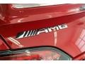  2018 AMG GT R Coupe Logo