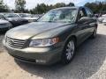 2008 Golden Beige Hyundai Azera Limited  photo #2