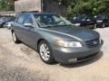 2008 Golden Beige Hyundai Azera Limited  photo #10