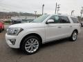 White Platinum - Expedition Limited Max 4x4 Photo No. 7