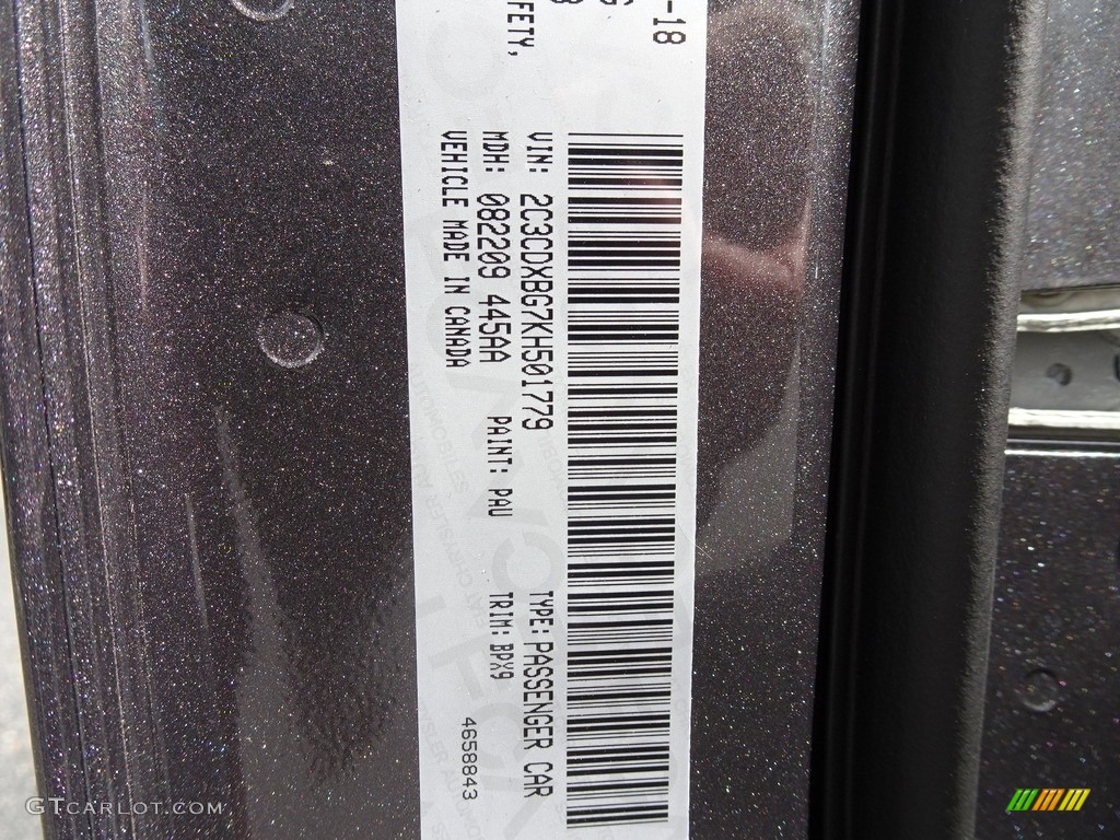 2019 Charger Color Code PAU for Granite Pearl Photo #129583632