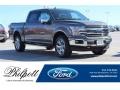 Stone Gray 2018 Ford F150 Gallery