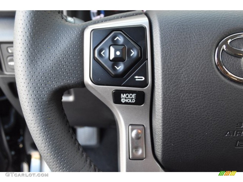 2019 Toyota 4Runner SR5 Premium 4x4 Graphite Steering Wheel Photo #129624516