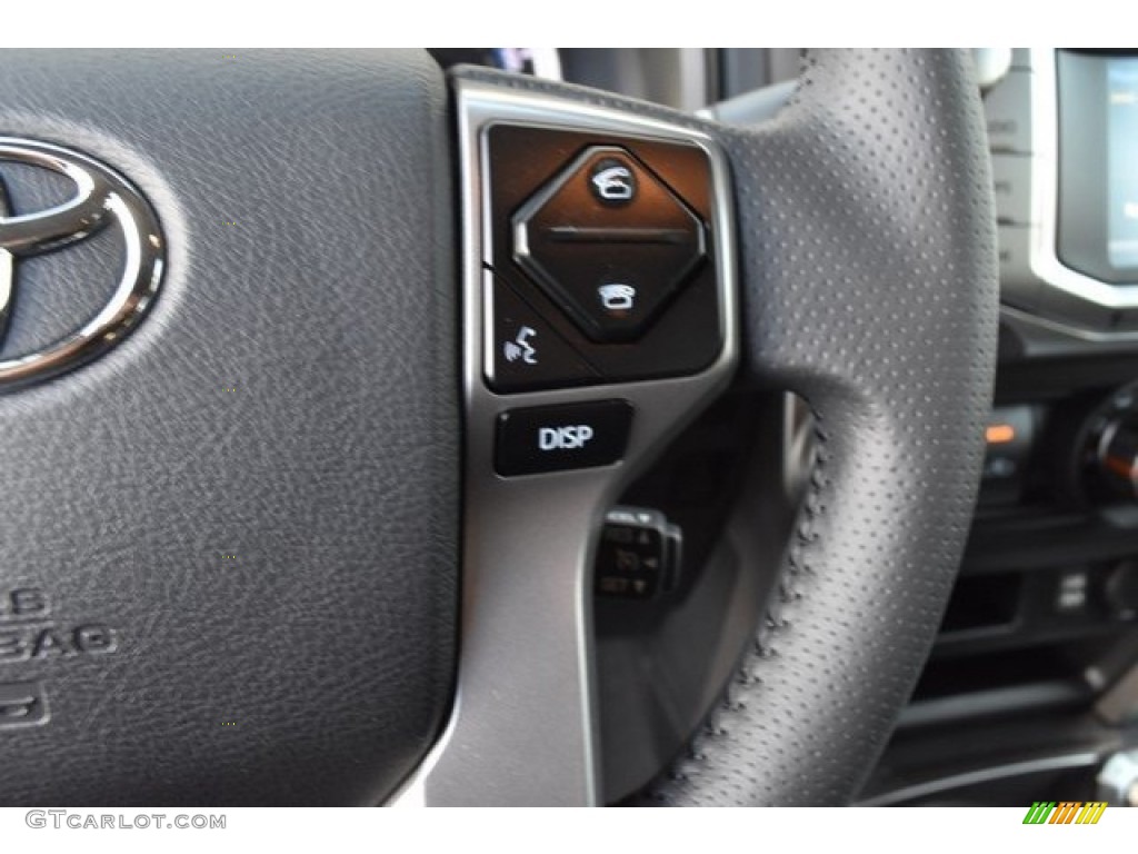2019 Toyota 4Runner SR5 Premium 4x4 Graphite Steering Wheel Photo #129624542