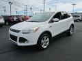 2013 White Platinum Metallic Tri-Coat Ford Escape SE 1.6L EcoBoost 4WD  photo #2