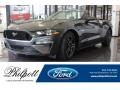 2019 Magnetic Ford Mustang GT Premium Convertible  photo #1