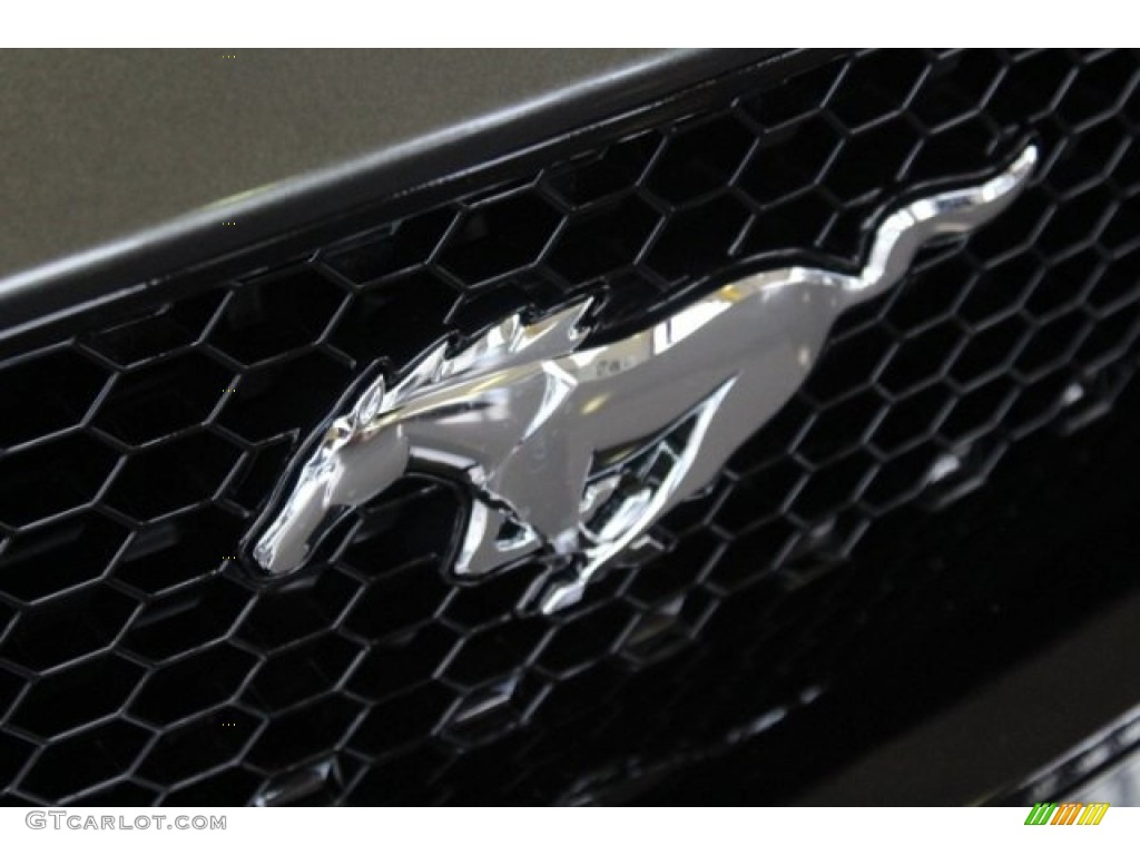 2019 Mustang GT Premium Convertible - Magnetic / Ebony photo #4