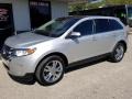 Ingot Silver Metallic - Edge Limited AWD Photo No. 9