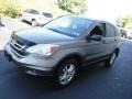 2010 Urban Titanium Metallic Honda CR-V EX AWD  photo #6