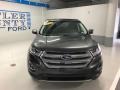 2018 Magnetic Ford Edge SEL AWD  photo #6