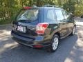 Dark Gray Metallic - Forester 2.5i Photo No. 7