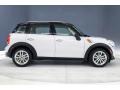 Light White - Countryman Cooper Photo No. 19