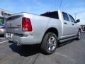 Bright Silver Metallic - 1500 Express Crew Cab 4x4 Photo No. 12