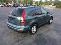 Opal Sage Metallic - CR-V LX AWD Photo No. 43