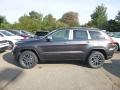 2019 Granite Crystal Metallic Jeep Grand Cherokee Limited 4x4  photo #2