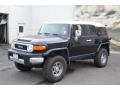 Black Diamond - FJ Cruiser 4WD Photo No. 2