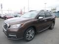  2019 Ascent Touring Cinnamon Brown Pearl
