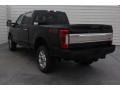 Agate Black - F250 Super Duty Platinum Crew Cab 4x4 Photo No. 7