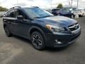 2015 Dark Gray Metallic Subaru XV Crosstrek 2.0i Premium  photo #1