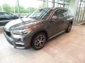 Mineral Grey Metallic - X1 xDrive28i Photo No. 3