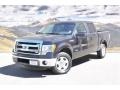 Tuxedo Black Metallic - F150 XLT SuperCrew Photo No. 5