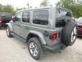 Sting-Gray - Wrangler Unlimited Sahara 4x4 Photo No. 2