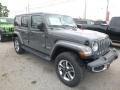 Sting-Gray - Wrangler Unlimited Sahara 4x4 Photo No. 5