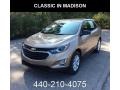 2019 Sandy Ridge Metallic Chevrolet Equinox LS  photo #1