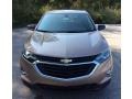 2019 Sandy Ridge Metallic Chevrolet Equinox LS  photo #2