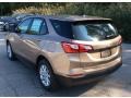 2019 Sandy Ridge Metallic Chevrolet Equinox LS  photo #4