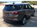 2019 Sandy Ridge Metallic Chevrolet Equinox LS  photo #6