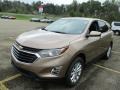 2019 Sandy Ridge Metallic Chevrolet Equinox LT AWD  photo #4