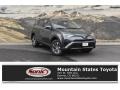 Magnetic Gray Metallic 2018 Toyota RAV4 XLE AWD Hybrid