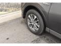 Magnetic Gray Metallic - RAV4 XLE AWD Hybrid Photo No. 32