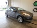 Magnetic - Fiesta SE Hatchback Photo No. 1